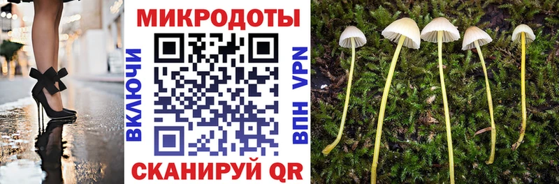 сайты даркнета какой сайт  Саки  Галлюциногенные грибы Psilocybe 